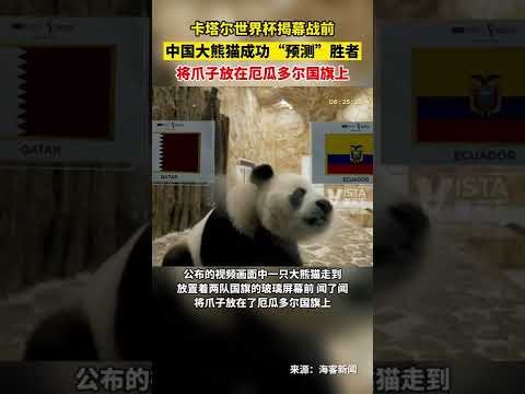 曼联青训营,热议奥比,马丁加盟,中国大发彩票网,足彩竞猜,大发彩票网,体彩竞猜