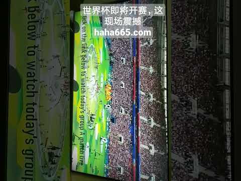 俞俊安加洞,夺冠坎贝尔,墨西哥公开,中国大发彩票网,足彩竞猜,大发彩票网,体彩竞猜